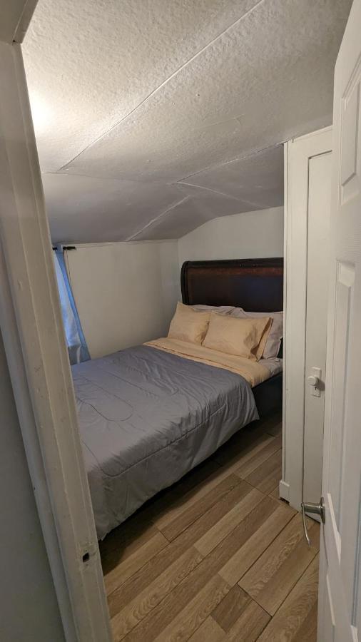 Cozy Downtown One Bedroom Free Parking Kingston Bagian luar foto